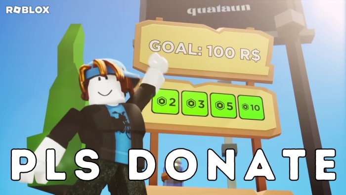 Codes for Pls Donate